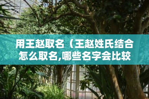 用王赵取名（王赵姓氏结合怎么取名,哪些名字会比较独特）