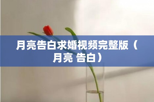 月亮告白求婚视频完整版（月亮 告白）