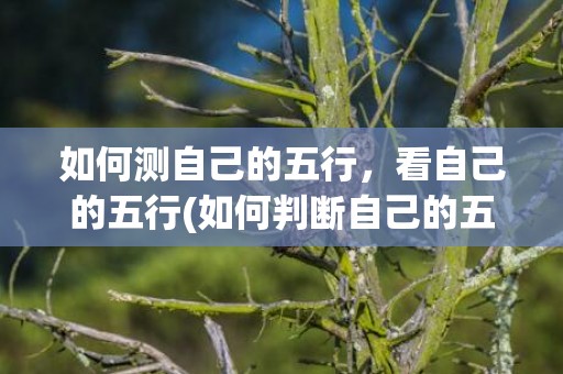 如何测自己的五行，看自己的五行(如何判断自己的五行)