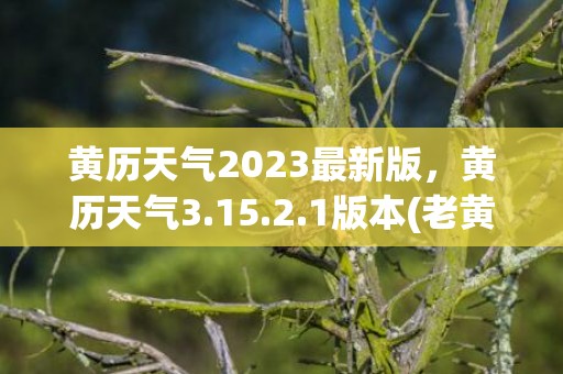 黄历天气2023最新版，黄历天气3.15.2.1版本(老黄历免费安装)
