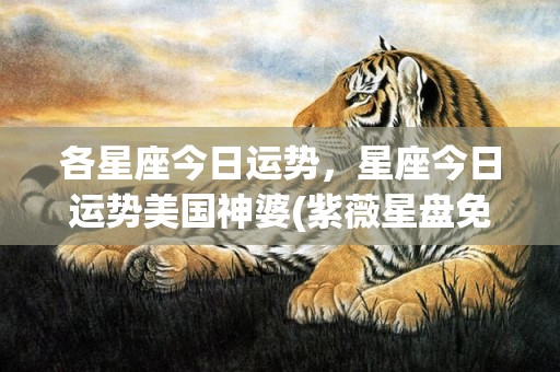 各星座今日运势，星座今日运势美国神婆(紫薇星盘免费测试)