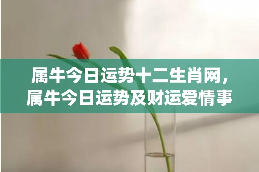 属牛今日运势十二生肖网，属牛今日运势及财运爱情事业网(属牛今日运势偏财运)