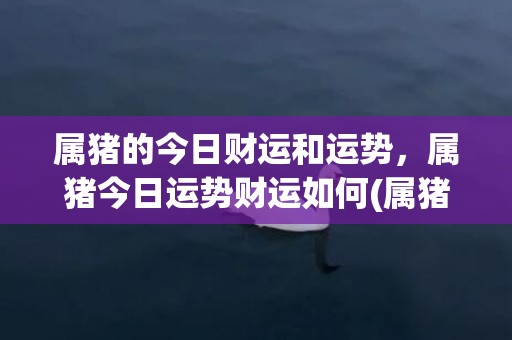 属猪的今日财运和运势，属猪今日运势财运如何(属猪的今日财运和幸运数字)