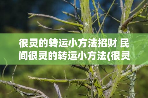 很灵的转运小方法招财 民间很灵的转运小方法(很灵的转运小方法学业)