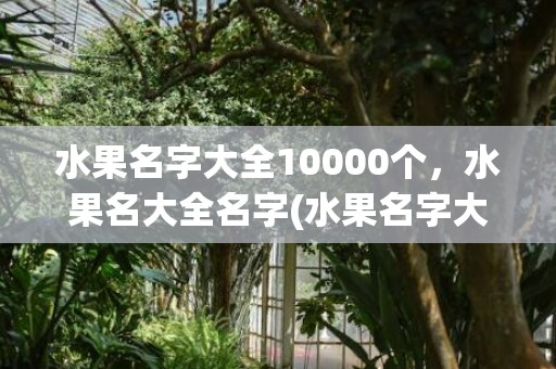 水果名字大全10000个，水果名大全名字(水果名字大全集 500种)