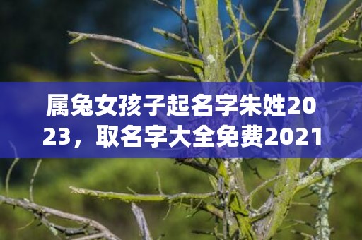 属兔女孩子起名字朱姓2023，取名字大全免费2021属兔的女孩子(属兔女孩子起名字大全)