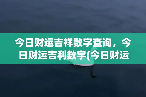今日财运吉祥数字查询，今日财运吉利数字(今日财运吉祥数字查询)