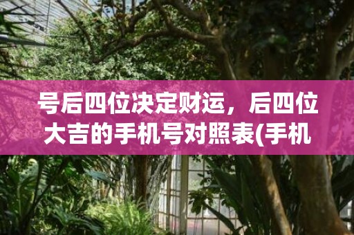 号后四位决定财运，后四位大吉的手机号对照表(手机号后四位决定财运)