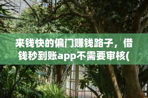 来钱快的偏门赚钱路子，借钱秒到账app不需要审核(来钱快的偏门赚钱路子网上)