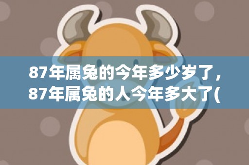 87年属兔的今年多少岁了，87年属兔的人今年多大了(87年属兔的今年三十几)