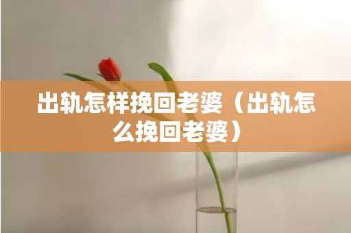 出轨怎样挽回老婆（出轨怎么挽回老婆）