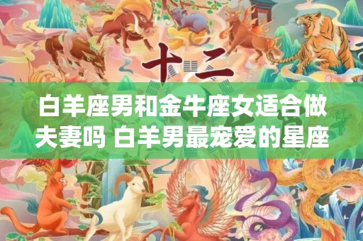 白羊座男和金牛座女适合做夫妻吗 白羊男最宠爱的星座女(白羊座男和金牛座女合适吗)