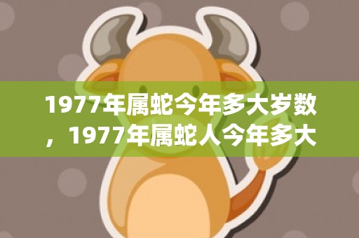 1977年属蛇今年多大岁数，1977年属蛇人今年多大了(1977年属蛇今年会添丁吗)