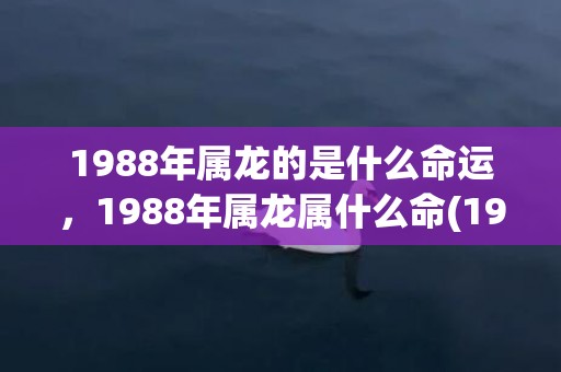 1988年属龙的是什么命运，1988年属龙属什么命(1988年属龙的是土命还是木命)