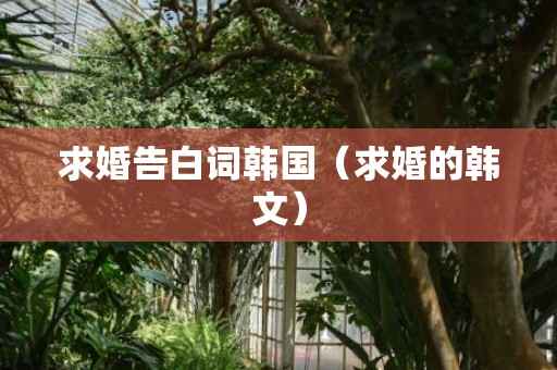 求婚告白词韩国（求婚的韩文）