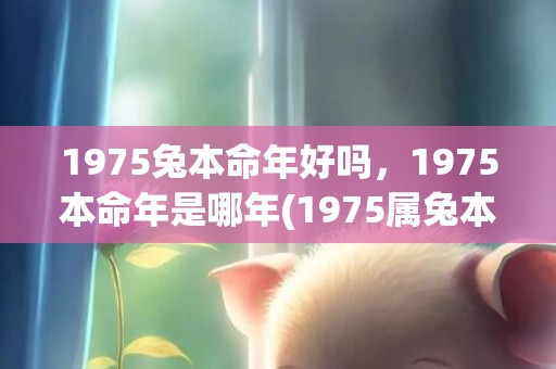 1975兔本命年好吗，1975本命年是哪年(1975属兔本命年戴什么好)