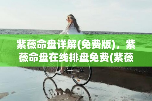 紫薇命盘详解(免费版)，紫薇命盘在线排盘免费(紫薇命盘详解(免费版)看自己啥时候谈恋爱)