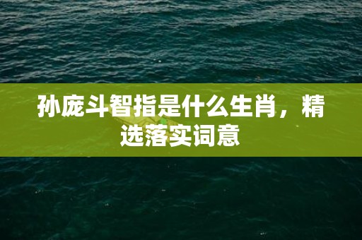 孙庞斗智指是什么生肖，精选落实词意