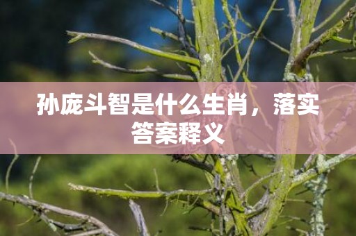 孙庞斗智是什么生肖，落实答案释义