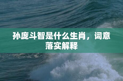 孙庞斗智是什么生肖，词意落实解释