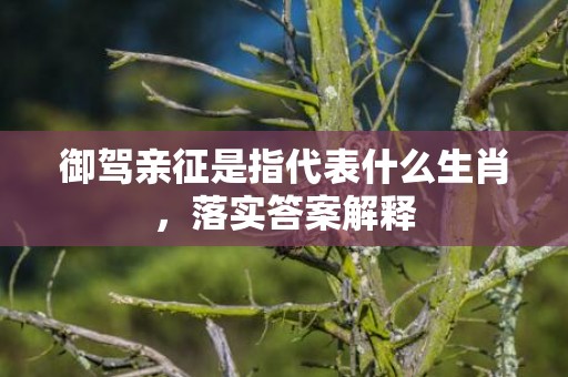 御驾亲征是指代表什么生肖，落实答案解释