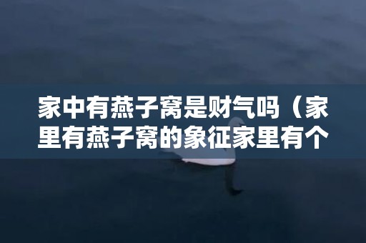 家中有燕子窝是财气吗（家里有燕子窝的象征家里有个燕子窝预示）