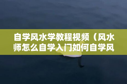 自学风水学教程视频（风水师怎么自学入门如何自学风水入门）