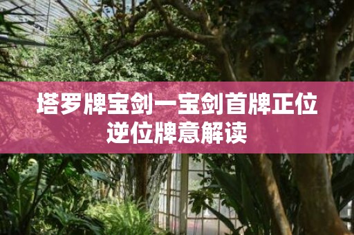 塔罗牌宝剑一宝剑首牌正位逆位牌意解读