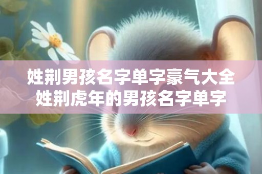 姓荆男孩名字单字豪气大全姓荆虎年的男孩名字单字
