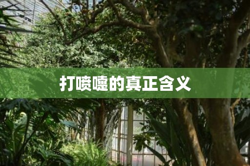 打喷嚏的真正含义