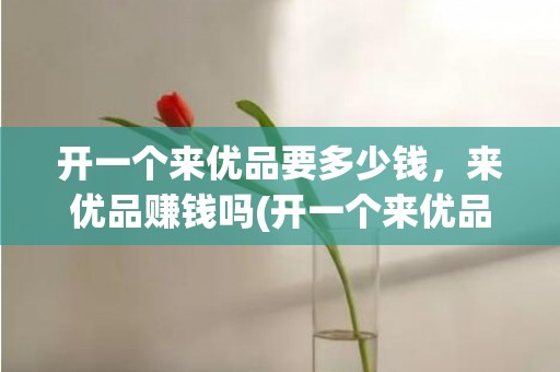 开一个来优品要多少钱，来优品赚钱吗(开一个来优品要多少钱)