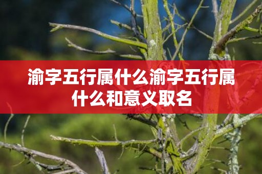 渝字五行属什么渝字五行属什么和意义取名