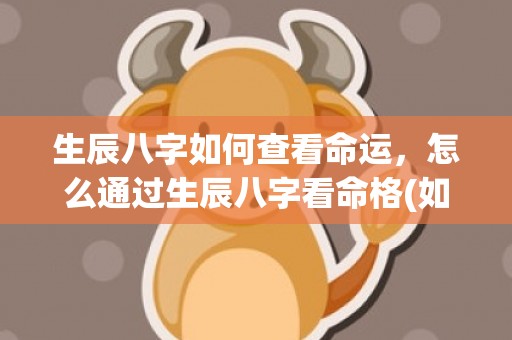 生辰八字如何查看命运，怎么通过生辰八字看命格(如何查看生辰八字强弱)