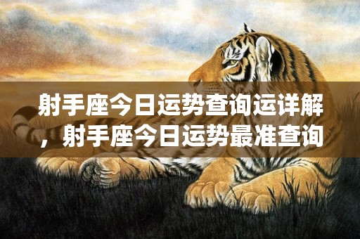 射手座今日运势查询运详解，射手座今日运势最准查询(射手座今日运势查询男生)