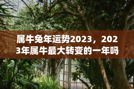 属牛兔年运势2023，2023年属牛最大转变的一年吗(属牛兔年运势2023年运)