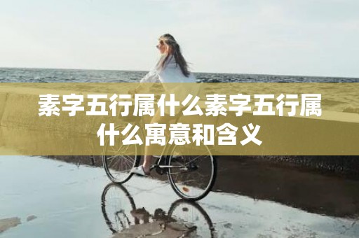 素字五行属什么素字五行属什么寓意和含义