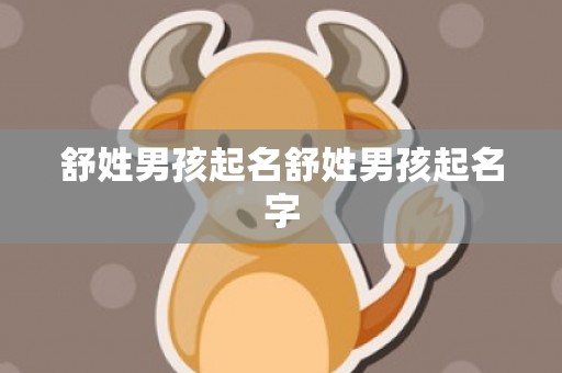 舒姓男孩起名舒姓男孩起名字