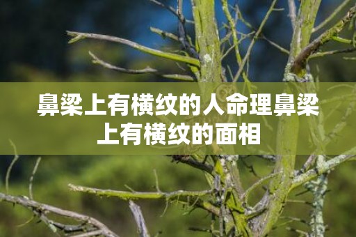 鼻梁上有横纹的人命理鼻梁上有横纹的面相