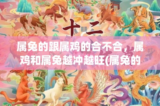 属兔的跟属鸡的合不合，属鸡和属兔越冲越旺(属兔的跟属鸡的合不合)