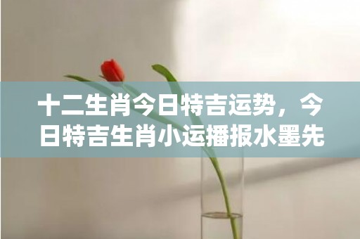 十二生肖今日特吉运势，今日特吉生肖小运播报水墨先生(十二生肖今日特吉运势一月13号)