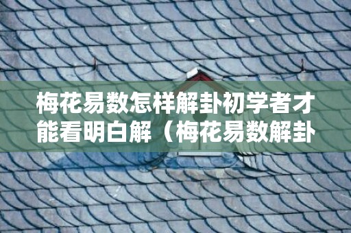 梅花易数怎样解卦初学者才能看明白解（梅花易数解卦法简释梅花易数解卦方法详解）