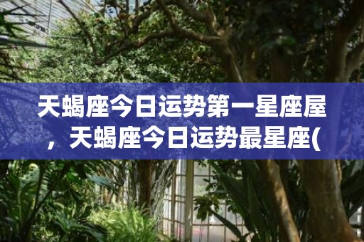 天蝎座今日运势第一星座屋，天蝎座今日运势最星座(天蝎座今日运势第一星座屋)