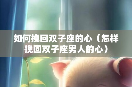 如何挽回双子座的心（怎样挽回双子座男人的心）