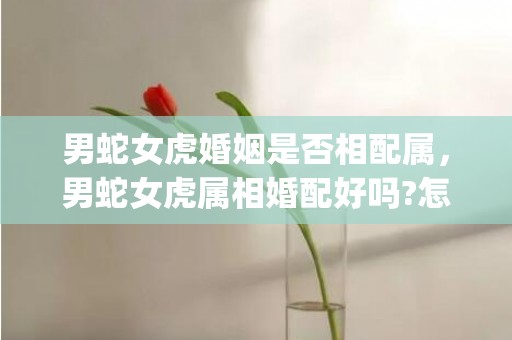 男蛇女虎婚姻是否相配属，男蛇女虎属相婚配好吗?怎样化解(男蛇女虎婚姻最终结局)