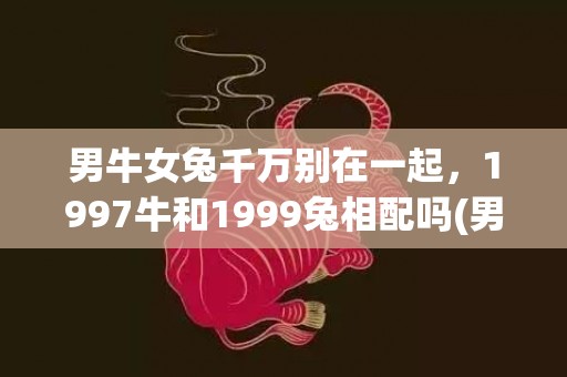 男牛女兔千万别在一起，1997牛和1999兔相配吗(男牛女龙千万别在一起)