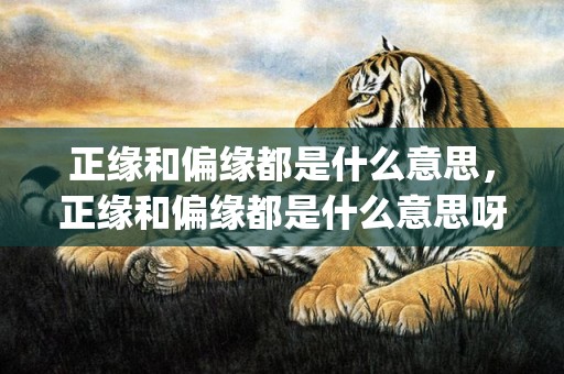 正缘和偏缘都是什么意思，正缘和偏缘都是什么意思呀(正缘和偏缘都是什么意思)