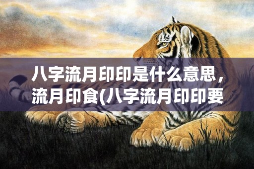 八字流月印印是什么意思，流月印食(八字流月印印要注意什么)