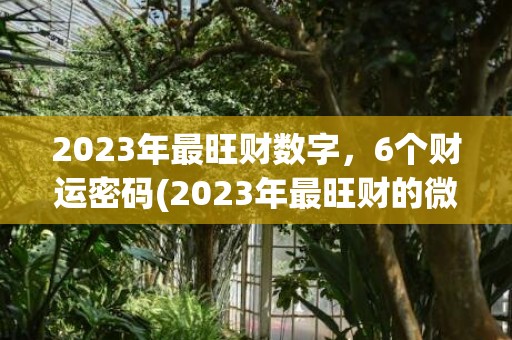 2023年最旺财数字，6个财运密码(2023年最旺财的微信头像)