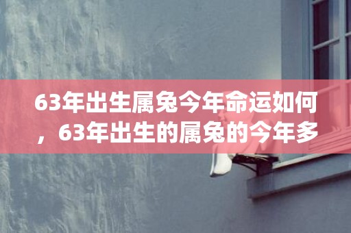 63年出生属兔今年命运如何，63年出生的属兔的今年多大(63年出生属兔今年犯太岁吗)