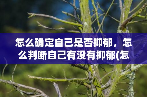 怎么确定自己是否抑郁，怎么判断自己有没有抑郁(怎么确定自己是否焦虑症)